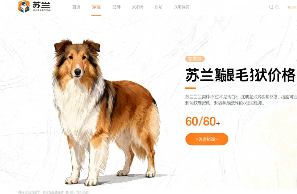 苏格兰牧羊犬市场价揭秘:影响价格的因素及选购避坑指南 苏格兰牧羊犬,市场价,选购指南,价格因素