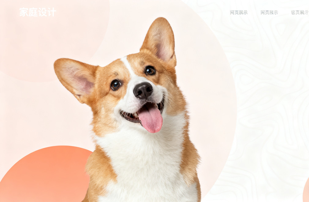 揭秘柯基犬:除了高颜值,它还有这些不为人知的一面 柯基犬,高颜值,不为人知的一面