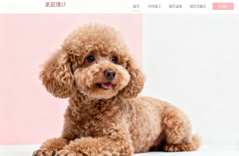 终极盘点:关于泰迪(贵宾犬)的100个事实 泰迪,贵宾犬,事实盘点