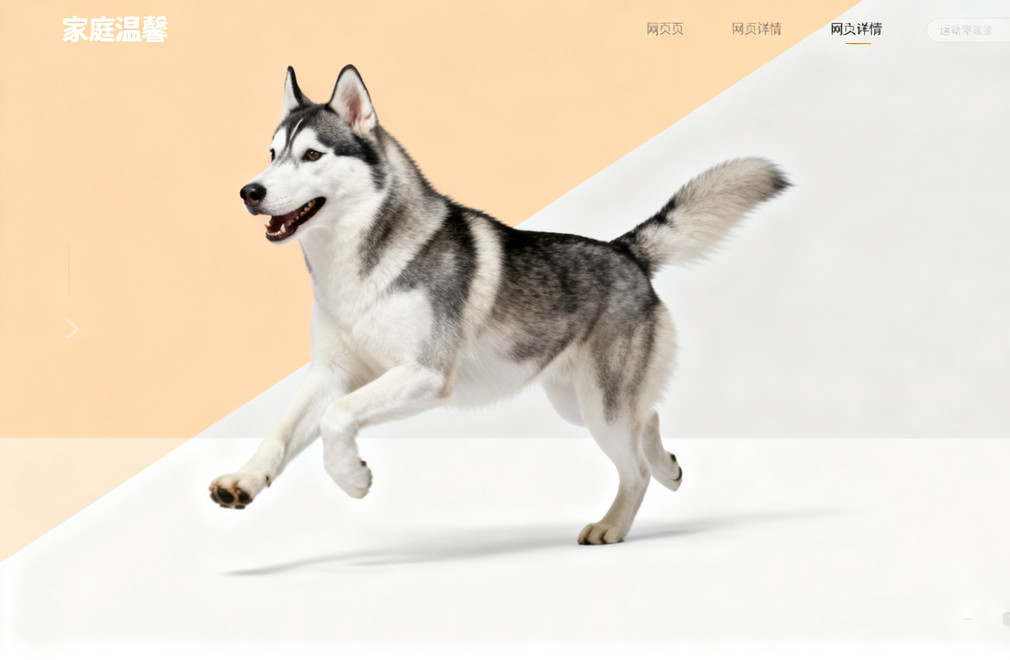 运动达人,运动犬种,犬种盘点