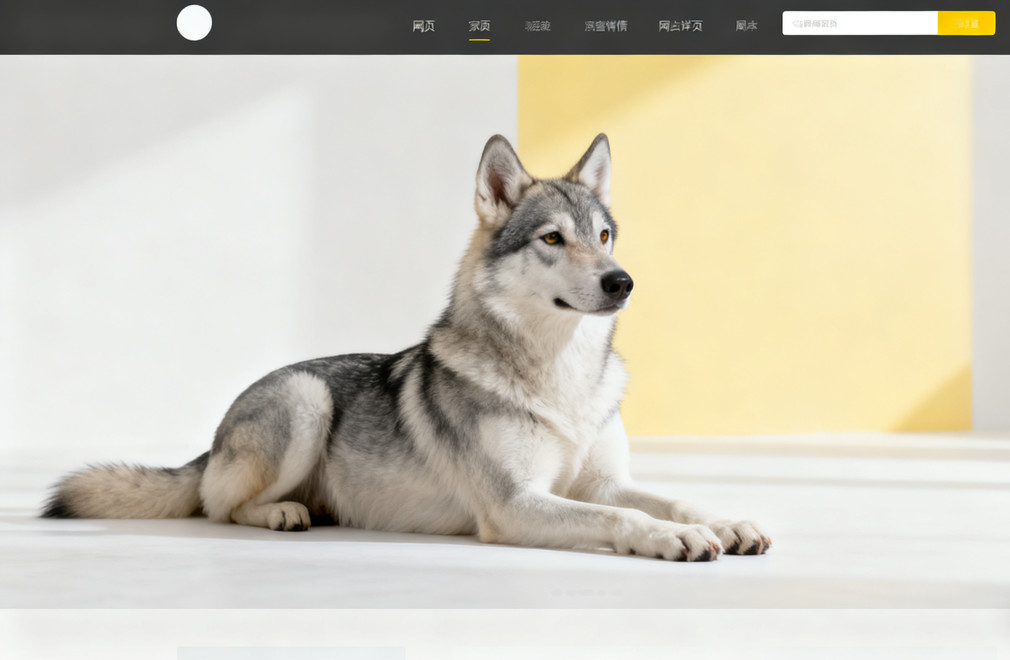 像狼的狗狗品种,野性之美,狗狗品种