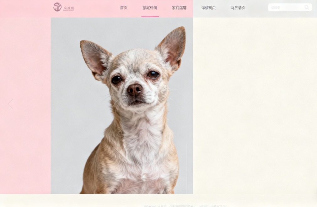 狗狗二尖瓣闭锁不全,老年小型犬