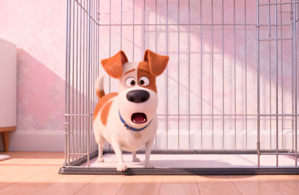 狗狗在笼子里叫个不停怎么办? 狗狗,笼子,吠叫,解决方法