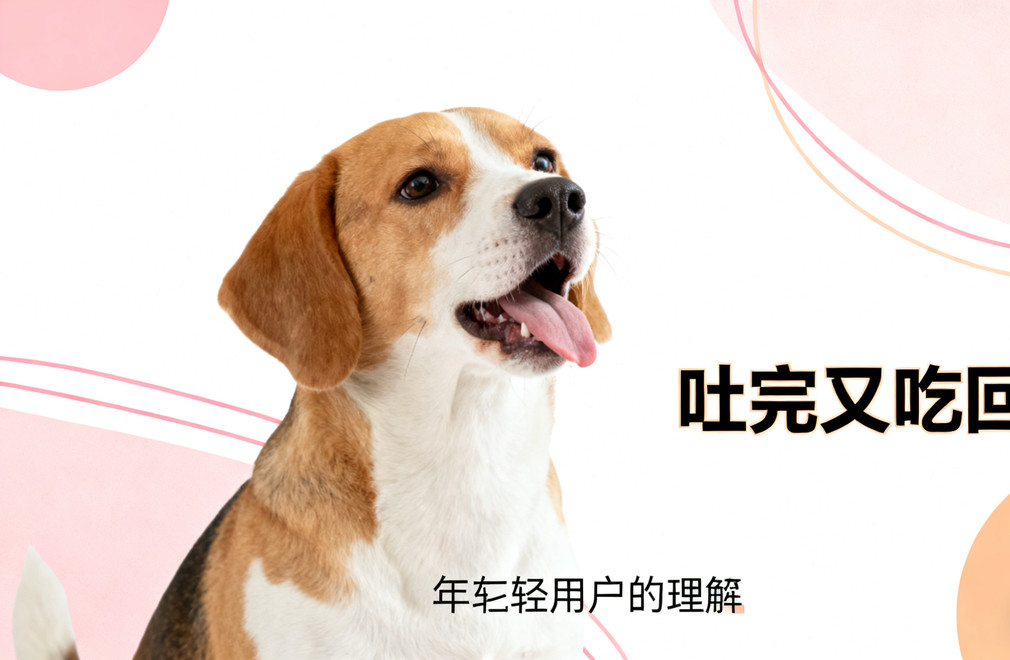 狗狗吐完又吃回去,有问题吗? 狗狗呕吐,吃回呕吐物,狗狗健康,宠物异常行为