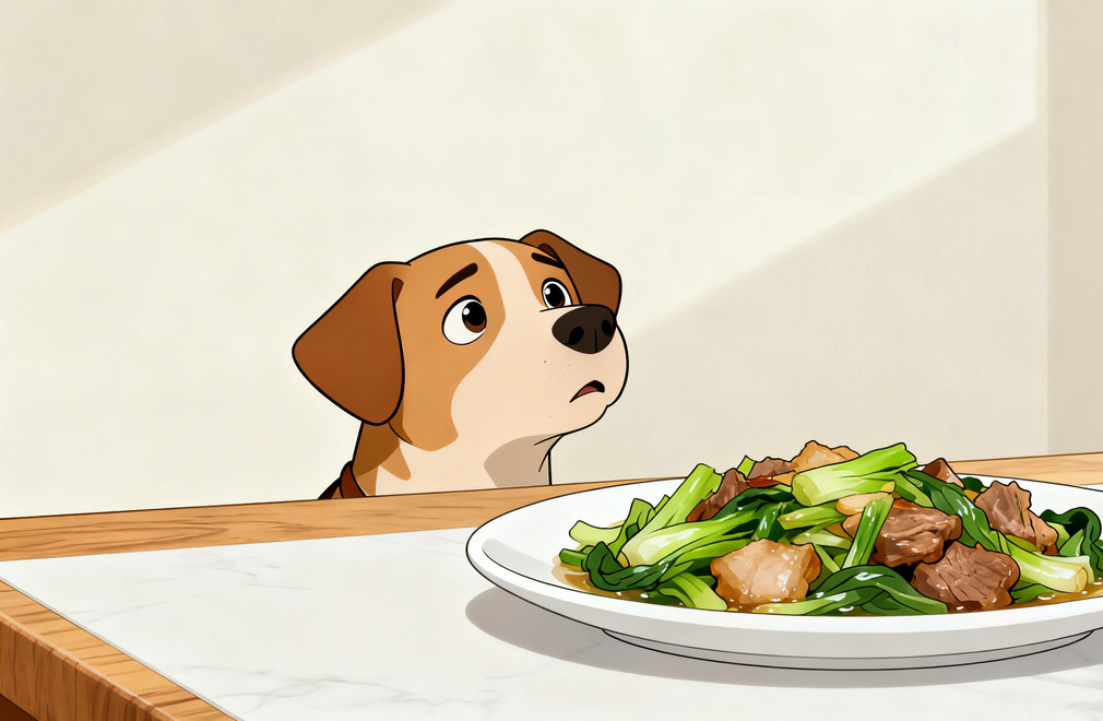 狗狗饮食,人食,狗狗喂养,宠物饮食