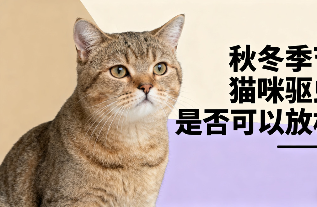 秋冬季节,猫咪驱虫,驱虫注意事项