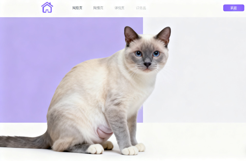 猫咪怀孕多久生?有什么征兆? 猫咪怀孕周期,猫咪生产征兆,猫怀孕时长,猫生产前兆