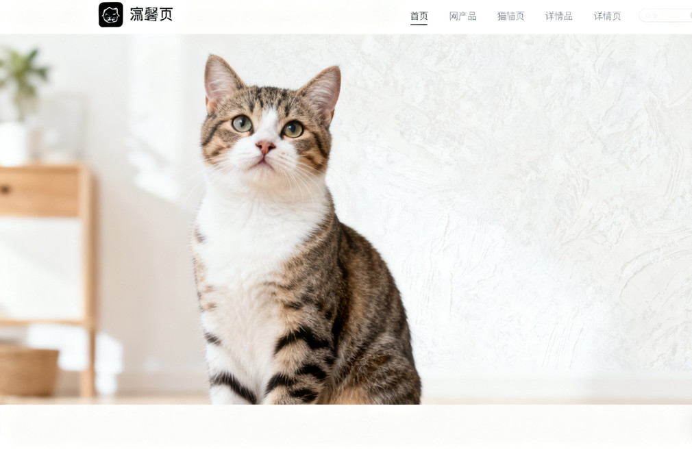 猫咪寄养需要注意什么? 猫咪寄养,注意事项