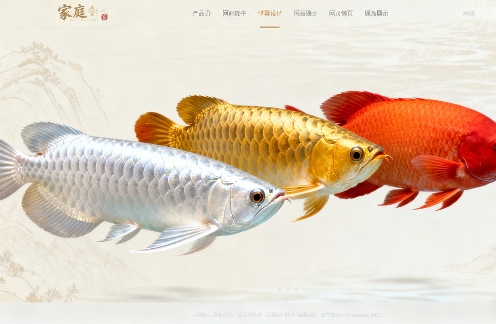 龙鱼品种:银龙、金龙、红龙 龙鱼,银龙,金龙,红龙